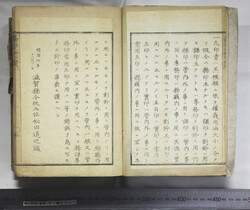 明い246010010002.jpg