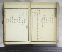 明い246010010014.jpg