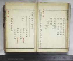 明い246010010020.jpg