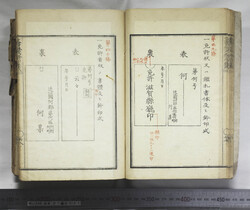 明い246010010028.jpg