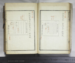 明い246010010029.jpg