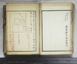 明い246010010039.jpg