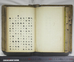 明い246040010002.jpg