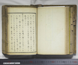 明い246040010026.jpg