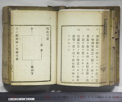 明い246040010072.jpg