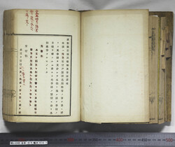 明い246050010002.jpg