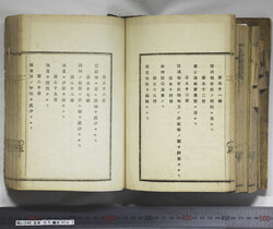 明い246050010010.jpg