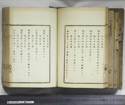 明い246050010014.jpg