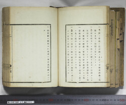 明い246050010015.jpg