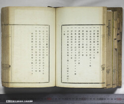 明い246050010018.jpg