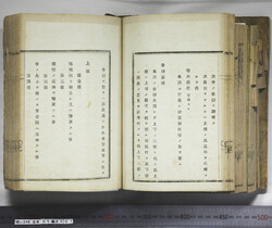 明い246050010021.jpg