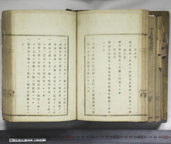 明い246050010025.jpg