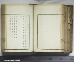 明い246050010026.jpg