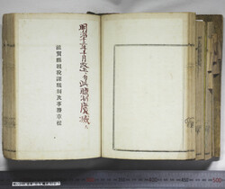 明い246050010027.jpg