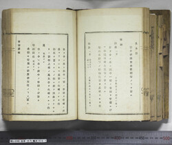 明い246050010029.jpg