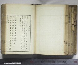 明い246050010038.jpg