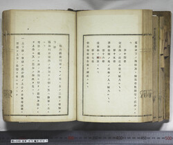 明い246050010060.jpg