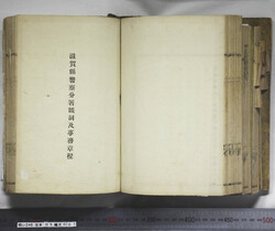明い246050010062.jpg
