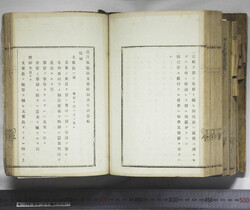 明い246050010077.jpg