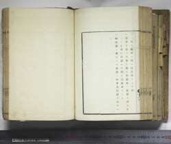 明い246050010082.jpg