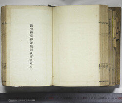 明い246050010083.jpg