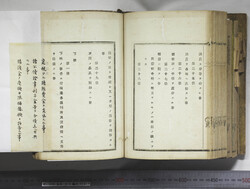 明い246050010101.jpg