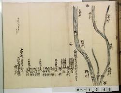 明へ1（2）-48.jpg